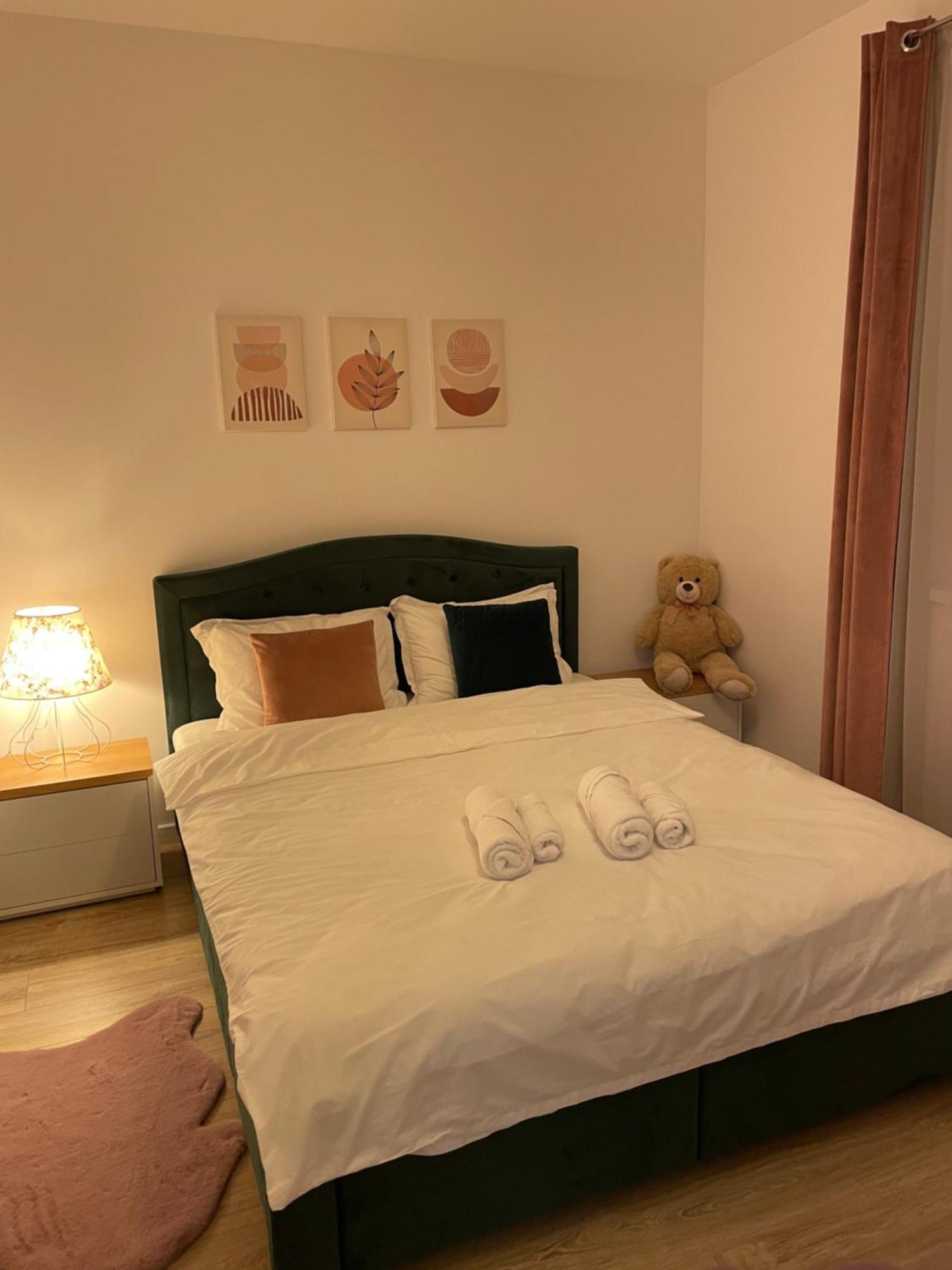 Negruzzi Apartment Dumbravita  Екстер'єр фото